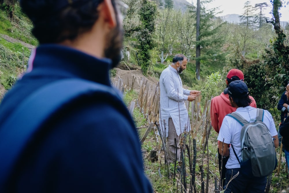 Apple orchard activity