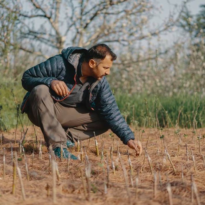 Hands holding healthy soil