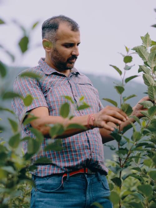 Modern Regenerative Orchard